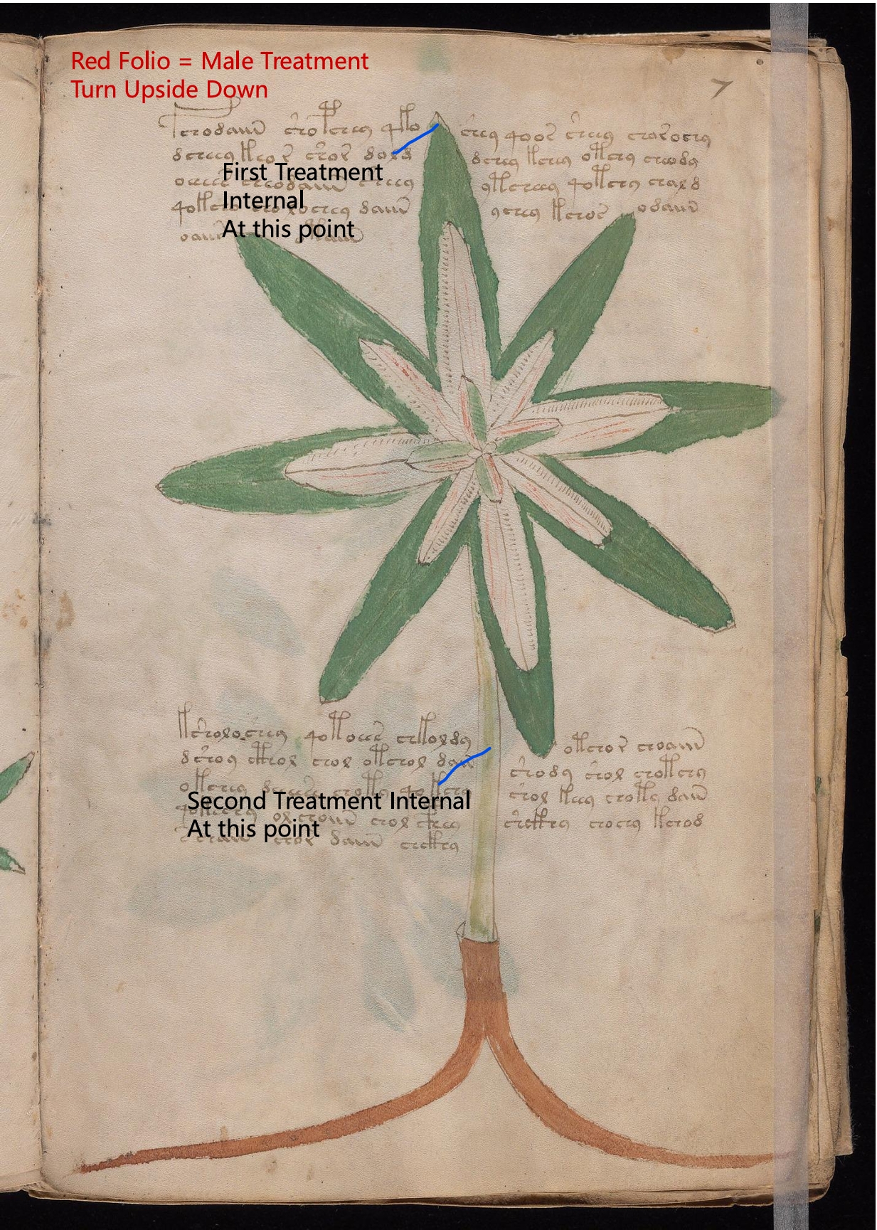 Secondary labelled diagram of Folio f7r